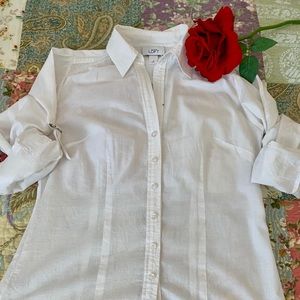 Loft Cotton Button Down Shirt